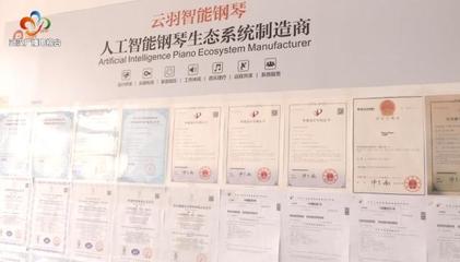 銀發創業傳奇 傾盡家產鑄琴魂，兩年破兩億的跨界逆襲